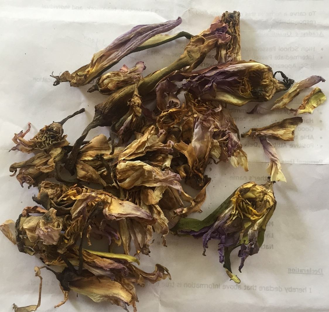 Dark Yellow to brown