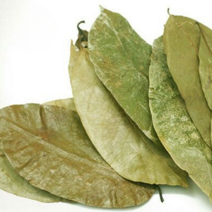 100% sachets de thé corossol premium naturel vérifié sans OGM feuilles de corossol séchées en gros de tisane sans caféine - Product Image 4