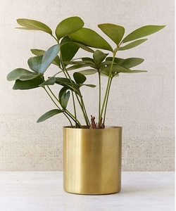 Jardinière en métal intemporelle avec touche finie dorée pour des idées de décoration intérieure de maison et de bureau traditionnelles et élégantes - Product Image 1