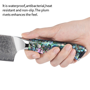 มีดเชฟเหล็กดามัสกัสใช้ในครัวด้ามเรซินใบมีดคมแบบกำหนดเองได้ - Product Image 3