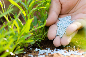 Complete Plant Care NPK <strong>Fertilizer</strong> for Growth Boost and Maximum Production | Ideal for Home, Garden &amp; Outdoor Plant Care