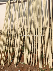 Couleur personnalisée pour les poteaux de bambou peints/poteaux de bambou en gros durable et flexible avec un bon prix d'Eco2go Vietnam - Product Image 6