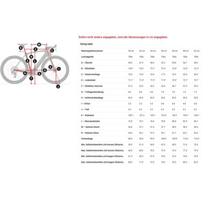 2025 Domane + SLR 8 AXS Bicicleta de carretera Carbono Eléctrica 24 velocidades Carbono Rojo Humo Color Disco V Sistema de frenos Horquilla de acero de aluminio - Product Image 4