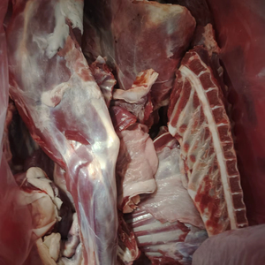 เนื้อวัวแช่แข็งสดใหม่ ได้รับการรับรองฮาลาล ทุกส่วน ทั้งเนื้อวัวไขมันต่ำ/เนื้อโค รวมถึงเนื้อติดมันและเนื้อตัววัว - Product Image 1