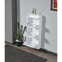 Mueble Zapatero de Acero Inoxidable de Diseño Moderno para Sala de Estar, 3+ Niveles, Ahorro de Espacio, Fácil de Montar, para Apartamento o Gimnasio