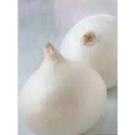 Cebollas Frescas Orgánicas al por Mayor, Tipo de Cultivo de Cebolla Fresca Orgánica - Product Image 5