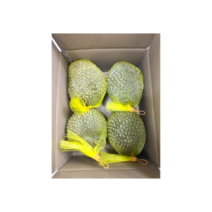 Durian Premium IQF congelado de Vietnam Totalmente natural, sin semillas, textura cremosa, sellado al vacío en 1kg Paquete a granel Vida útil - Product Image 6