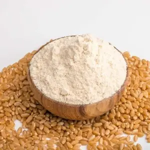 小麦优质天然全麦谷物干风格小麦用于软面包制作