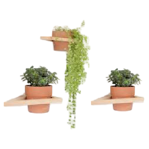 Entourant de jardinière suspendue en métal globule avec pot de fleurs fini de couleur marron tenture murale pour la maison jardin balcon salon - Product Image 3