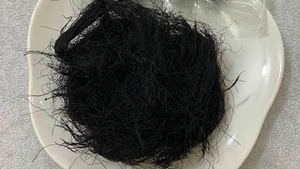 Mousse noire séchée saine récoltée durablement tradition ancienne patrimoine - Product Image 4