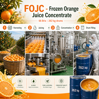 Concentré de jus d'orange en vrac du Brésil - Congelé 66 Brix Origine Sao Paulo 100% Pur Durée de conservation de 24 mois en fût