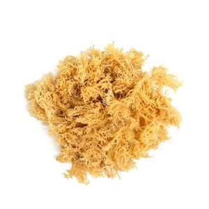 EMBALAJE SEAMOSS SEA SEAMOSS OEM PARA SUS PRODUCTOS - Product Image 5