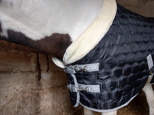 Vente chaude de haute qualité hiver cheval tapis d'écurie 250 Gsm Pollyfill couverture stable dans des couleurs assorties en gros - Product Image 6