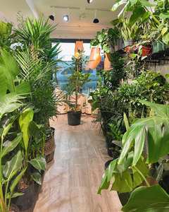 Ampoule LED de culture COB en aluminium 30W/35W PAR38, spectre complet, lumière pour plantes, culot E26/E27, pour plantes d'intérieur, hydroponie, semis - Product Image 6