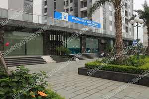 Bloques de piedra caliza natural vietnamita verde musgo flameado moderno azulejos de alta calidad económica para uso exterior - Product Image 2