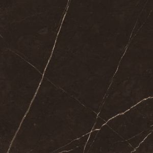 Découvrez les principales marques indiennes produisant des carreaux de porcelaine élégants et durables de 60x60cm pour les articles de décoration de la maison et du salon - Product Image 5