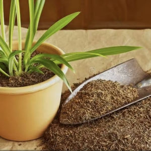 Ladrillos de Fibra de Coco, Bloques, Briquetas, 5 kg, 10 kg, 25 kg, Mezcla para Macetas, Acondicionador de Suelo, Fibra de Coco, Semillas, Ecológico, Nivel CE - Product Image 1