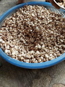 Chất Lượng Cao Khô Nấm <span class=keywords><strong>Shiitake</strong></span> Thân Cây Gỗ Sồi Vàng Nấm Thân Cây <span class=keywords><strong>Shiitake</strong></span> Chân Dày Kết Cấu Xơ Ánh Sáng Màu Nâu - Product Image 2