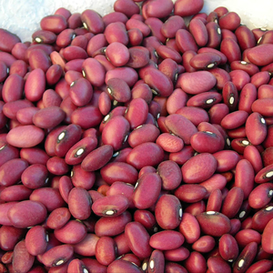 Haricots rouges foncés de qualité à vendre - Product Image 1