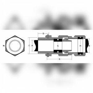 Presse-câble à double compression Ex d IIC robuste IP66 en laiton M63, anti-flamme, zone dangereuse, série AEFP IIC - Product Image 5