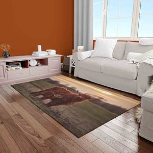 Highland Cow Printed <b>Rug</b> - Tropical, Coastal, Animal, Soft, Machine Washable,<b>Chenille</b> <b>Rug</b> - Product Image 3