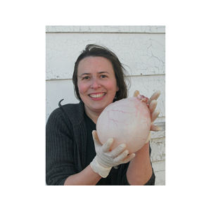 Cheap Frozen Pork Bladder - Product Image 4