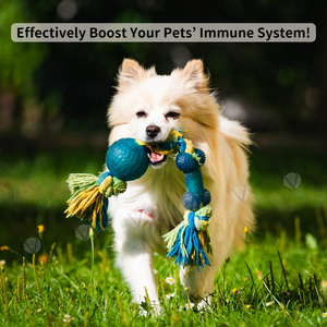 ผงเสริมภูมิคุ้มกันธรรมชาติสำหรับสุนัข แมว และสัตว์เล็ก ดูดซึมเร็ว เสริมสร้างระบบภูมิคุ้มกัน ดูแลสุขภาพและอาหารเสริม - Product Image 3