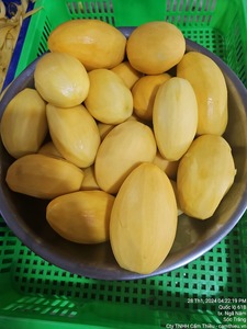 Frozen Mango IQF <b>Diced</b> Cubes for Use Smoothies Ice Cream Cake Drinking from Mango Tropical Fruit Vietnam by 99 Gold Data - Product Image 6