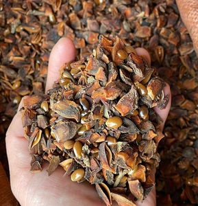 Phalco Vietnam's Premium Quality Broken Star Anise Mezcla de hierbas y especias de flores secas a precio mayorista - Product Image 1