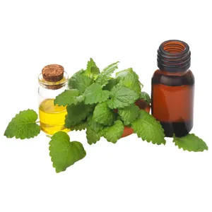 Organic Essential Oil Cornmint Wholesale Bulk Mint Oil Cosmetic Grade Cornmint Oil for Edible Flavoring