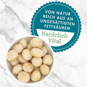 เมล็ดแมคคาเดเมียออร์แกนิกปอกเปลือก อบแห้ง เกรดพรีเมียม คุณภาพดี ขายส่งจากแคนโธ - Product Image 3