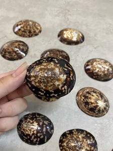 Concha de mar para decoración-Collares de joyería de moda de concha de caracol lapa de Vietnam - Product Image 3