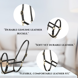 Customized <b>Horse</b> Halter with Solid <b>Brass</b> Fittings | Premium Wholesale Leather Halter for <b>Horse</b> Riding and Training Use - Product Image 4