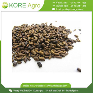 Bán buôn 100% tự nhiên tối ưu chất lượng cassia TORA hạt giống chiết xuất thảo dược từ Hoang Dã phát triển lá gia vị trong trống bao bì - Product Image 6