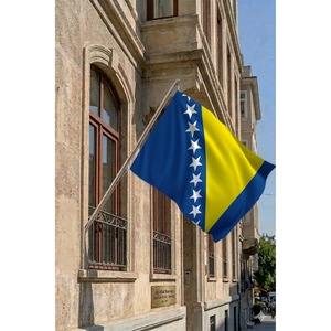 Wall-Mounted Telescopic Flagpole Set for Flag Display - Product Image 2