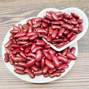 High Protein Dried Red Kidney Beans Premium Grade Non-GMO Vacuum Pack Bulk Wholesale NZ Origin Long Term Storage 25kg - Product Image 1