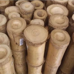 Pôles en bambou naturel pour projets de clôtures de jardin professionnels, écologiques, durables, matériaux de construction, alternative au bois - Product Image 4