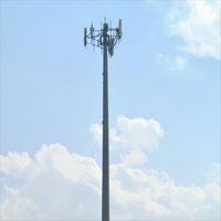 Antennes d'accès Wi-Fi coniques de 30 m pour tour, tour en acier monopôle avec connexion à bride et boulons à pas pour la communication