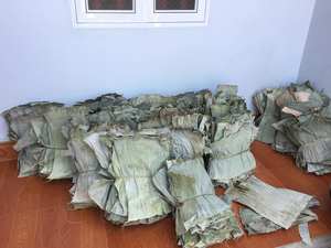 Suministro de hoja de plátano seca con precio razonable para la venta - Product Image 6