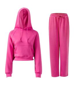 Conjunto Deportivo de Invierno Grueso con Logotipo Personalizado, Chándal Deportivo Liso de Alta Calidad, Pantalones Deportivos y Sudadera con Capucha para Mujer - Product Image 2