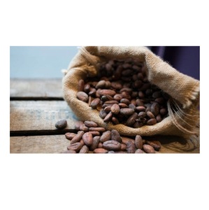เมล็ดโกโก้อาริบา เมล็ดโกโก้ดิบแห้ง เมล็ดโกโก้หมัก - Product Image 4