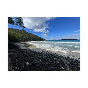 ซื้อแผ่นไม้บีชขนาดยาวในราคาที่ถูกที่สุดสำหรับโครงการก่อสร้างขนาดใหญ่ราคาไม่แพงสำหรับทุกคำสั่งซื้อ - Product Image 3