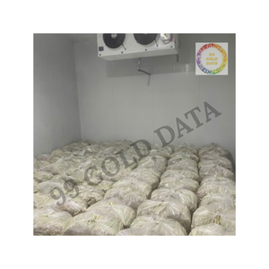 Tranches de citronnelle congelées fraîches avec arôme naturel-Emballage en gros en vrac pour restaurants et fabricants de produits alimentaires - Product Image 6