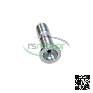 Tornillo de Ajuste Original OEM para Controladores de Motor MWM RS-12313194 - Product Image 4
