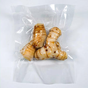 REBANADAS DE GALANGAL CONGELADAS ESPECIAS NATURALES DE CALIDAD PREMIUM A GRANEL SUMINISTRO DE EXPORTACIÓN AL POR MAYOR OFERTA CALIENTE TOP VENTAS PRODUCTO AL MEJOR PRECIO - Product Image 1