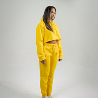 Offre Spéciale femmes vêtements survêtement avec logo personnalisé 2 pièces ensemble en gros femmes Crop hauts sweats à capuche et Jogging costume