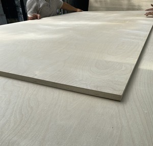 Madera contrachapada de abedul de 18mm de espesor de alta calidad para muebles, chapas ecológicas de 12mm y 9mm, precio competitivo en el mercado de la UE, decoraciones modernas - Product Image 1