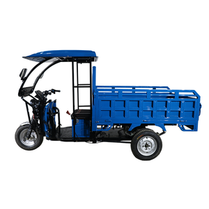 2025 QSD alta capacidad de carga 3 ruedas carro eléctrico cargador al por mayor 2000W Auto <span class=keywords><strong>Riksha</strong></span> abierto carga eléctrica Rickshaw para mercancías - Product Image 6