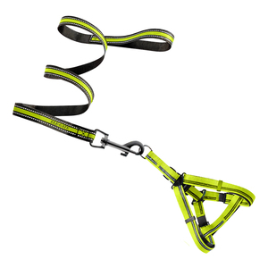 Elegante Set Pettorina e Guinzaglio per Animali Domestici in Nylon Confortevole per Addestramento e Passeggiate di Lusso, Traspirante, Taglia XL, Fantasia a Righe Solida - Product Image 4