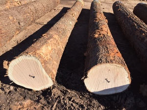 ไม้โอ๊คสีแดงสไตล์ยุโรปที่ขายดีที่สุดพร้อมรูปลักษณ์ที่ดีที่สุด - Product Image 3